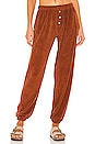 view 1 of 4 Terry Henley Sweatpant in Cinnamon