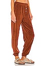view 2 of 4 Terry Henley Sweatpant in Cinnamon