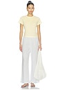 view 7 of 7 PANTALON CROPPED THE COTTON GINGHAM STRIPE CROP PANT in Cloud