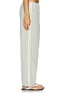 view 4 of 6 PANTALÓN RECORTADO THE COTTON GINGHAM STRIPE CROP PANT in Dill