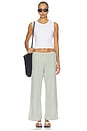 view 6 of 6 PANTALÓN RECORTADO THE COTTON GINGHAM STRIPE CROP PANT in Dill
