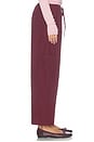 view 4 of 6 The Pop Drawstring Cargo Pant in Oxblood