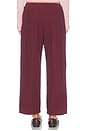 view 5 of 6 The Pop Drawstring Cargo Pant in Oxblood