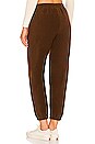 view 3 of 4 Polar Henley Sweatpant in Chocolate