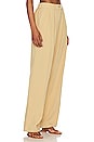 view 2 of 4 Pleated Pant in Sand
