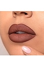 view 3 of 5 DELINEADOR DE LABIOS LIP LINER in Wine Down