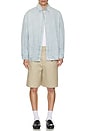 view 6 of 6 Danny Wide Leg Shorts in Beige