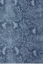 view 5 of 5 Snake Laser Denim Shorts in Blue