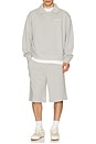 view 3 of 5 SHORT in Grey Marl
