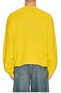 view 2 of 5 Badge Flat Knit Sweater in Misted Yellow