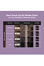 view 8 of 10 Root Touch-up Kit For Resistant Grays in Medium Brown