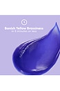 view 5 of 10 Gloss+ Toning in Purple