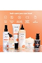 view 8 of 8 Apple Cider Vinegar Overnight Hydration Serum in 
