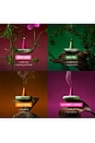 view 5 of 9 Houseplant By Droplet Ash & Scent Set in 