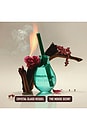 view 4 of 9 Houseplant By Droplet Reed Diffuser in 