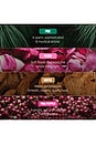 view 6 of 9 Houseplant By Droplet Reed Diffuser in 