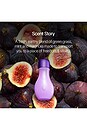 view 5 of 7 Dream Reed Diffuser in Fig Leaf in 