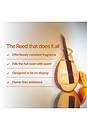 view 3 of 9 Focus Reed Diffuser in Orange Blossom in 