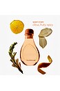 view 4 of 9 Focus Reed Diffuser in Orange Blossom in 