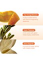 view 5 of 9 Focus Reed Diffuser in Orange Blossom in 