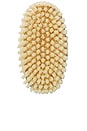 view 2 of 2 BROSSE POUR LE CORPS ANTI-CELLULITE BODY BRUSH NO 1 in Soft