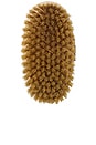 view 2 of 2 BROSSE POUR LE CORPS ANTI-CELLULITE BODY BRUSH NO 2 in Medium