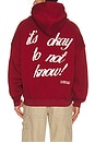 view 1 of 5 It's Okay To Not Know Hoodie in Maroon