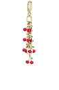 view 4 of 4 Cherry Charm Chain in Gold