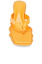 view 4 of 5 Range Thongs in Tangerine