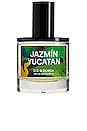 view 1 of 5 Jazmin Yucatan Eau de Parfum in 
