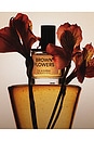 view 3 of 6 Brown Flowers Eau De Parfum in 