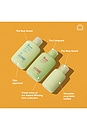 view 2 of 7 The Jetsetter Gelly Pack in 