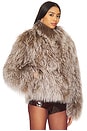 view 3 of 5 Rochelle Fur Jacket in Taupe Melange