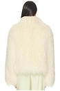 view 5 of 5 Rochelle Fur Jacket in Cream