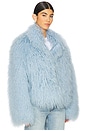 view 3 of 5 Rochelle Fur Jacket in Sky