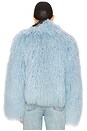 view 4 of 5 Rochelle Fur Jacket in Sky