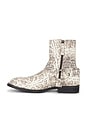view 5 of 5 Harley Biker Boot in Snake Skin