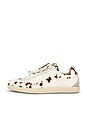 view 7 of 8 ZAPATILLA DEPORTIVA PLUS DUKE in Brown Cow