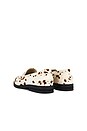 view 4 of 7 MOCASÍN WILDE in Brown Cow