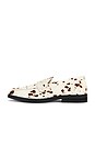 view 6 of 7 MOCASÍN WILDE in Brown Cow