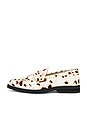view 7 of 7 MOCASÍN WILDE in Brown Cow