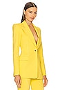 view 2 of 4 Parisi Blazer in Sunflower