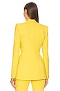 view 3 of 4 Parisi Blazer in Sunflower