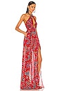 view 2 of 4 Jimi Maxi Dress in Red Paisley