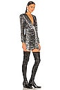 view 2 of 4 Stardust Mini Dress in Silver Tiger