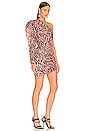view 2 of 5 MINIVESTIDO NORMA in Natural Zebra