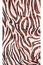 view 5 of 5 MINIVESTIDO NORMA in Natural Zebra