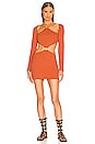 view 1 of 4 Jade Mini Dress in Rust