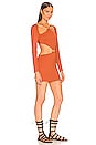 view 2 of 4 Jade Mini Dress in Rust
