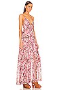 view 2 of 4 Knicks Maxi Dress in Multi Color Floral